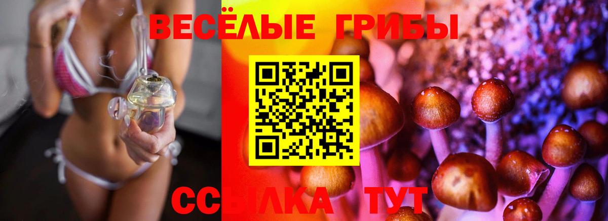 Альметьевск  Галлюциногенные грибы Cubensis  Вход с VPN  Псилоцибиновые грибы ЛСД 